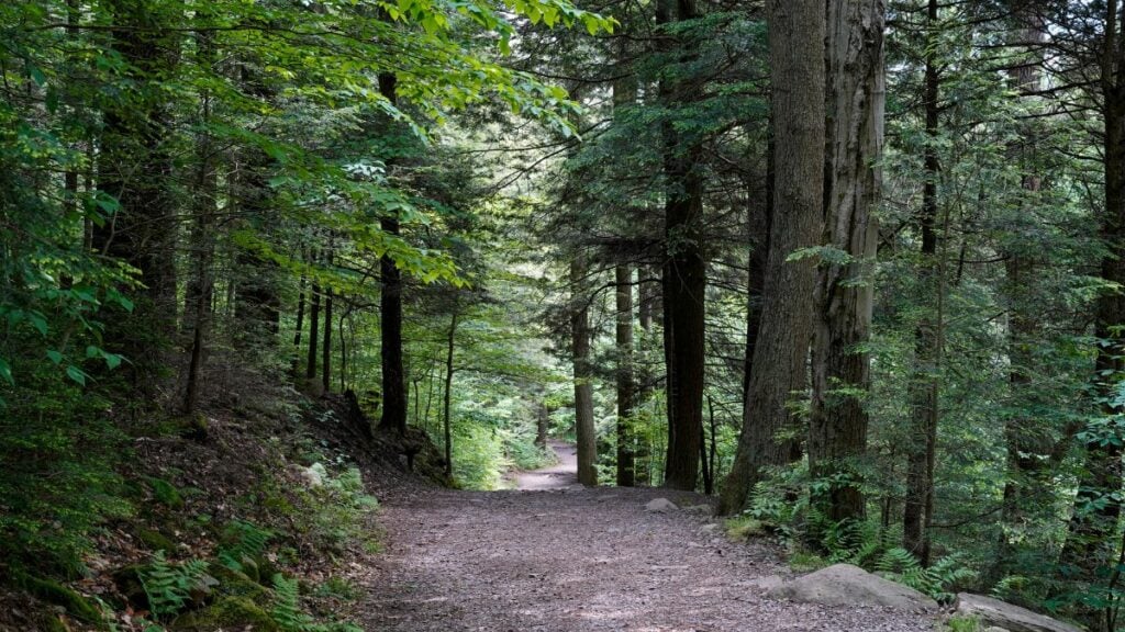 Beim Wandern verschwunden: Wer hat die 8-jährige Julia gesehen?