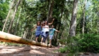 Familie balanciert über einen Baumstamm auf dem Waldspielplatz