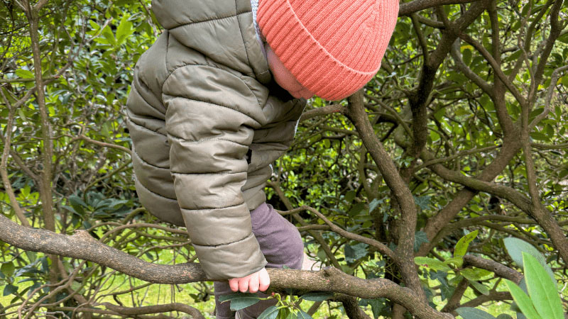 Kind klettert alleine auf einen Baum