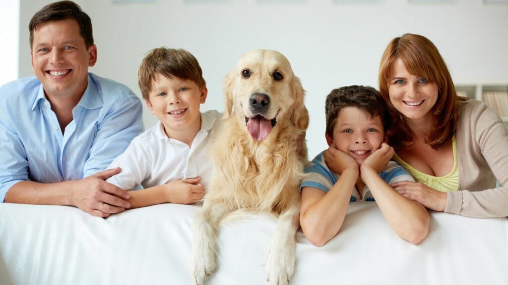 „Unser Hund half mir, mit meinem Kinderwunsch abzuschließen.”