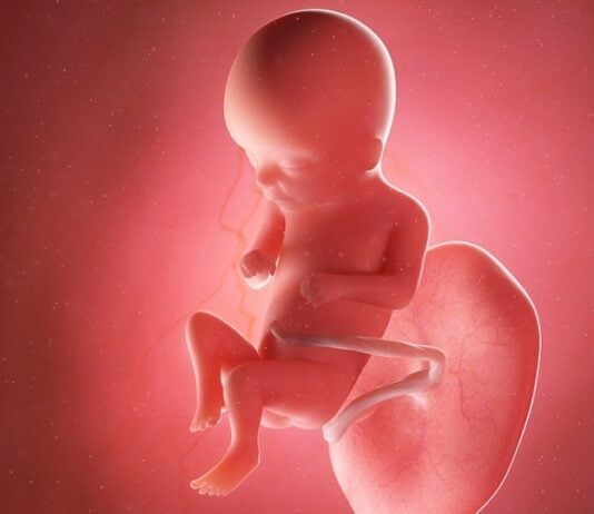 Wie spannend: Ab ca. der 16.SSW nimmt dein Baby langsam Geräusche wahr. Grafik: Bigstock