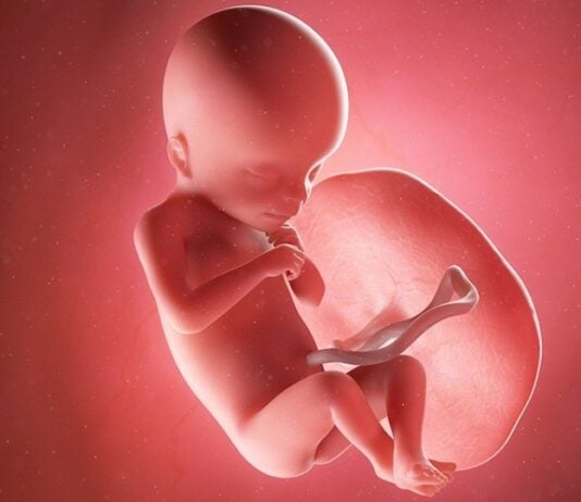 In der 18. Schwangerschaftswoche entstehen die ersten Fingerabdrücke beim Baby. Grafik: Bigstock