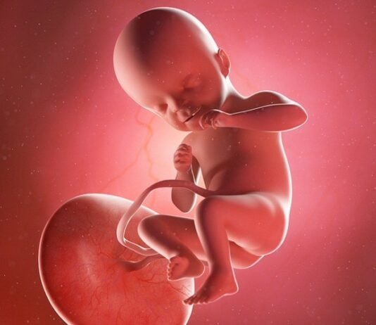 Willkommen in der 21. SSW: Jetzt nimmt das Baby langsam Geräusche wahr. Grafik: Bigstock