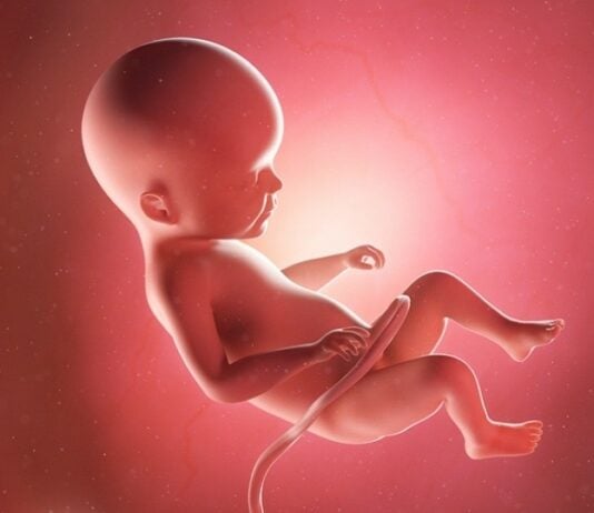 Hier erfährst du alles Wichtige über die Entwicklung deines Babys in der 22. SSW. Foto: Bigstock