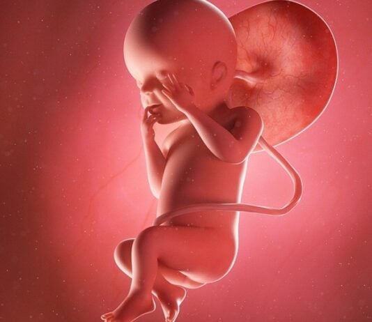 In der 23. SSW wiegt dein Baby in der Regel schon ca. 500 Gramm. Foto: Bigstock