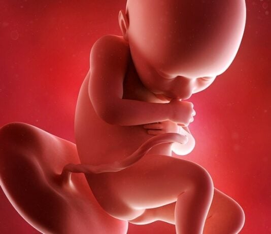 SSW 36: Langsam begibt sich dein Baby in die Geburtsposition. Grafik: Bigstock